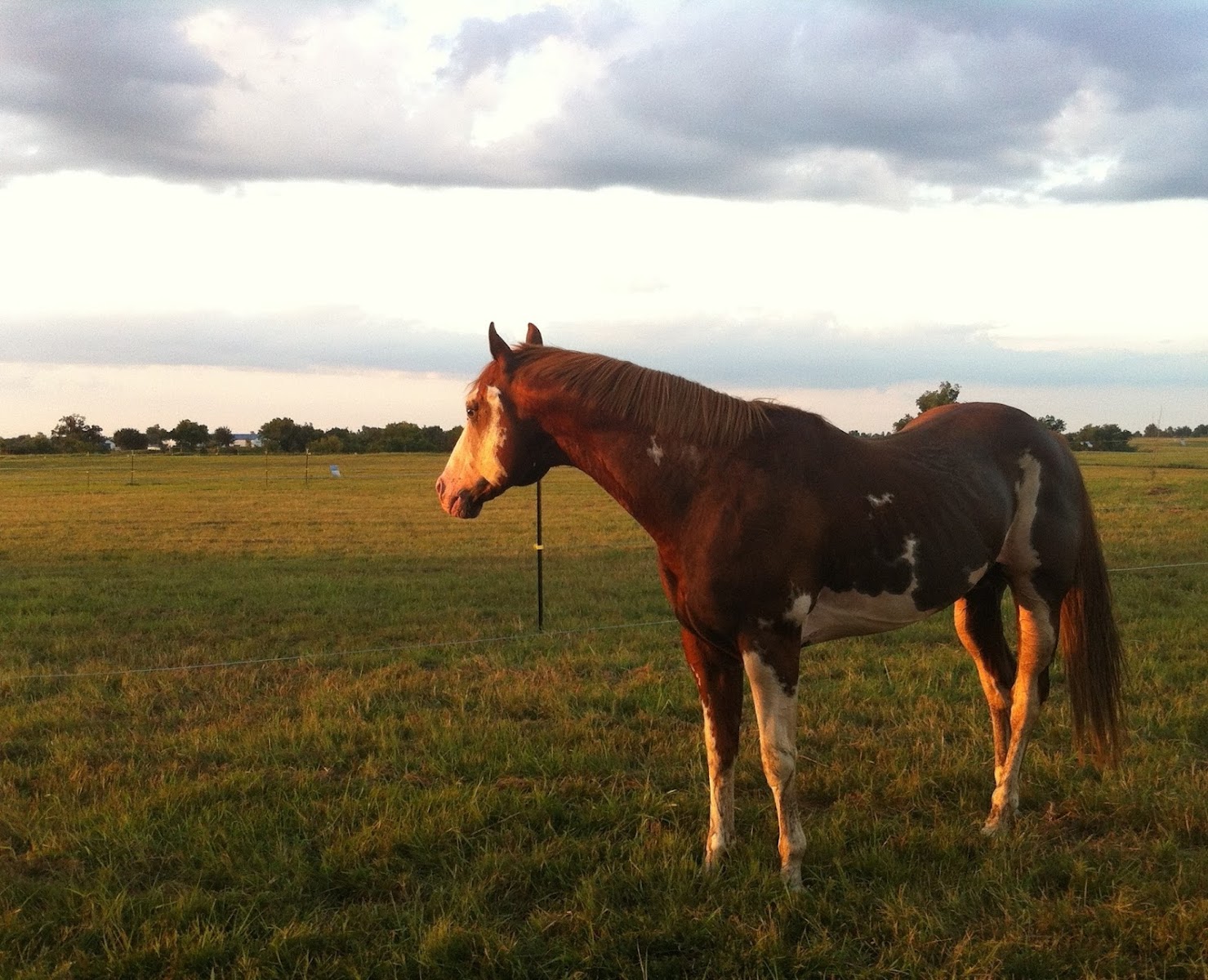 Red Stick Ranch photo 4