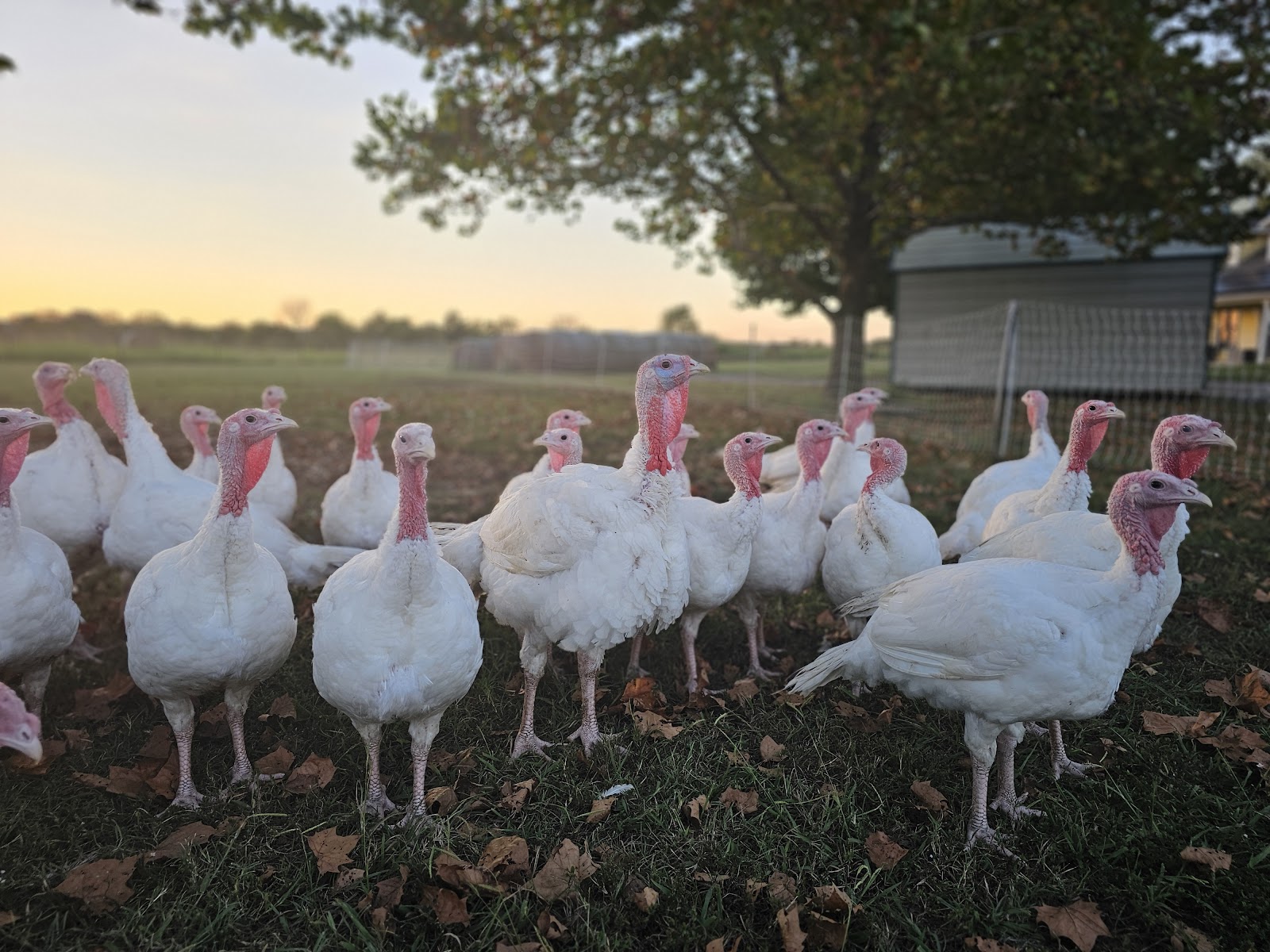 Red Stick Ranch photo 5