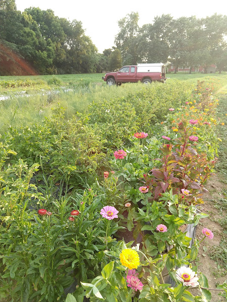 Three Creeks Produce