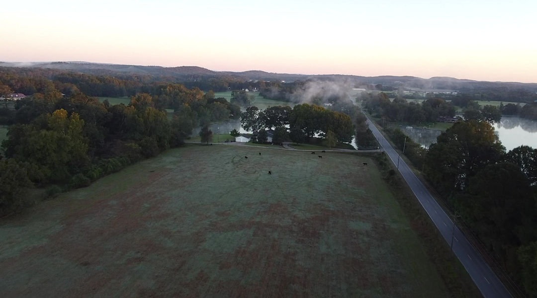 Red Hill Farms photo 22