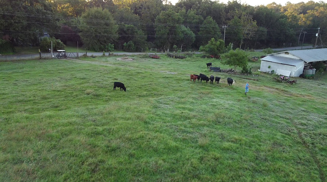 Red Hill Farms photo 25