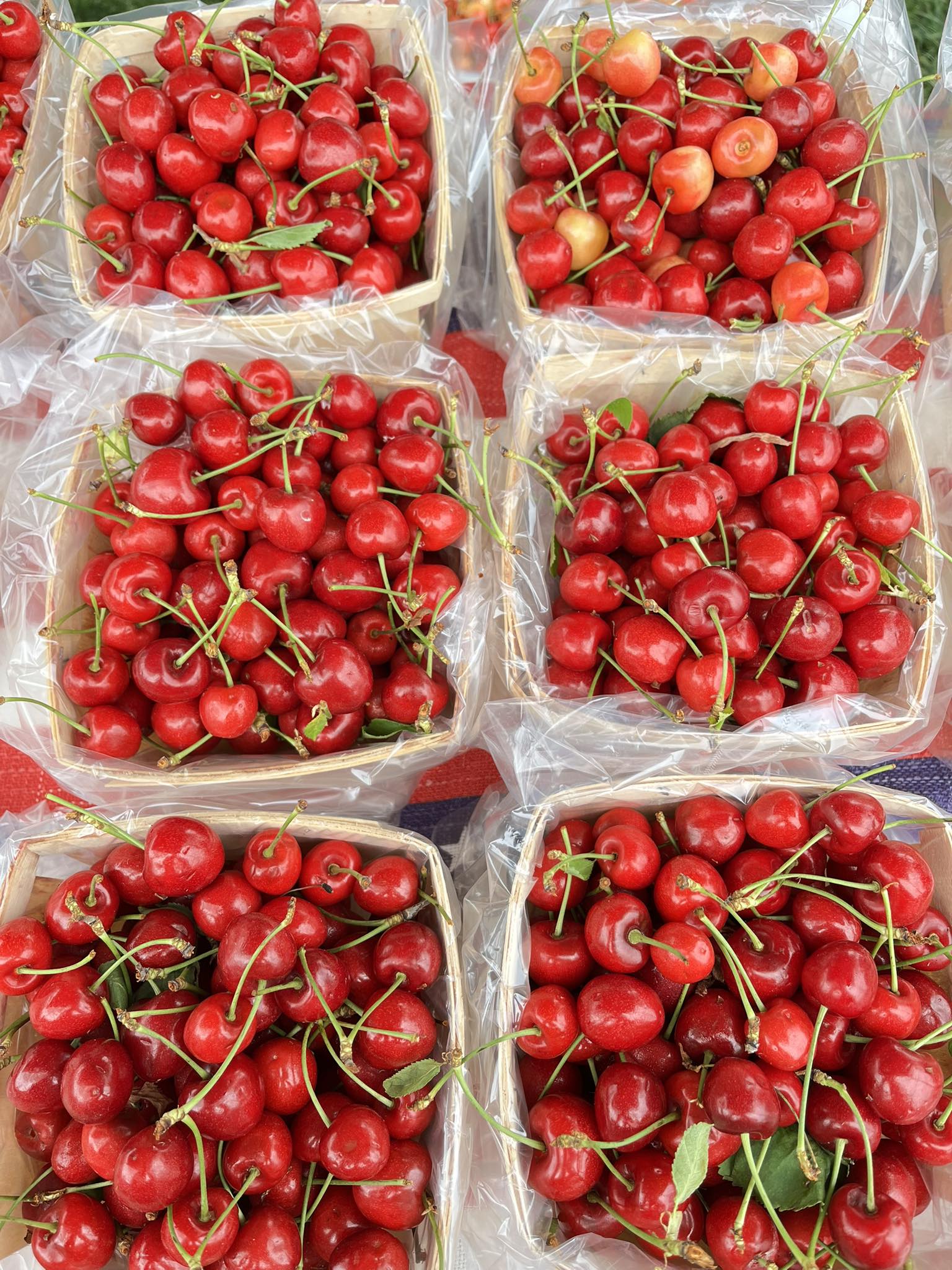 Ballston Spa Farmers Market