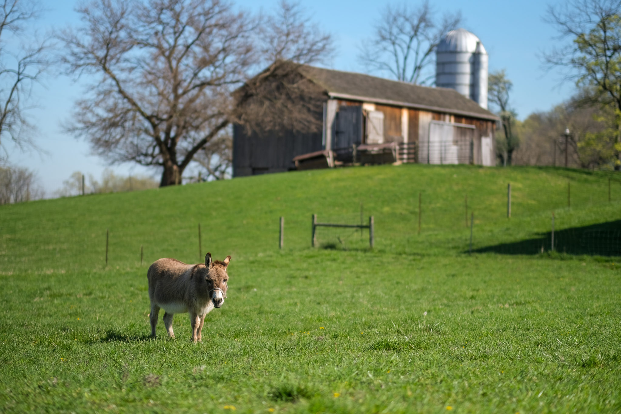 Gorman Heritage Farm