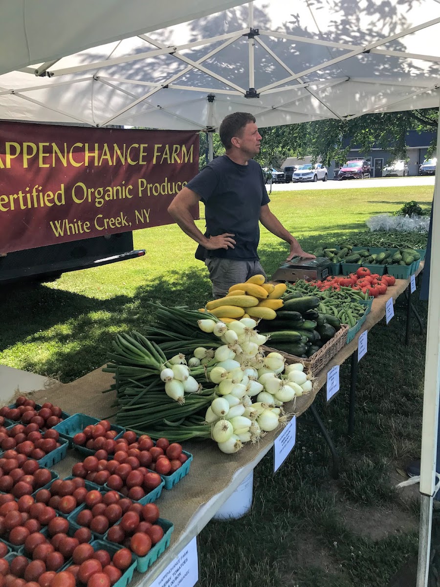 Cambridge Farmers' Market photo 3