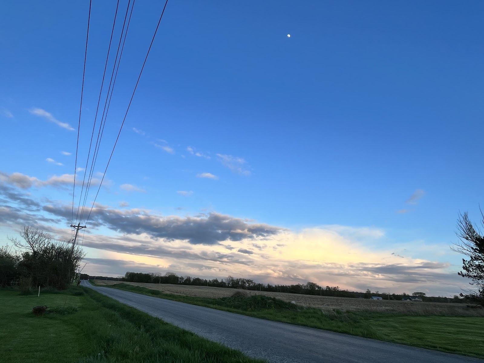 Hearthstone Berry Farm