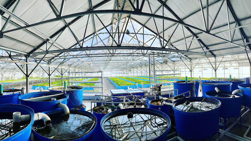 Yellowstone Valley Food Hub photo 2