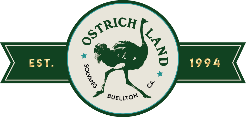 Ostrichland Usa