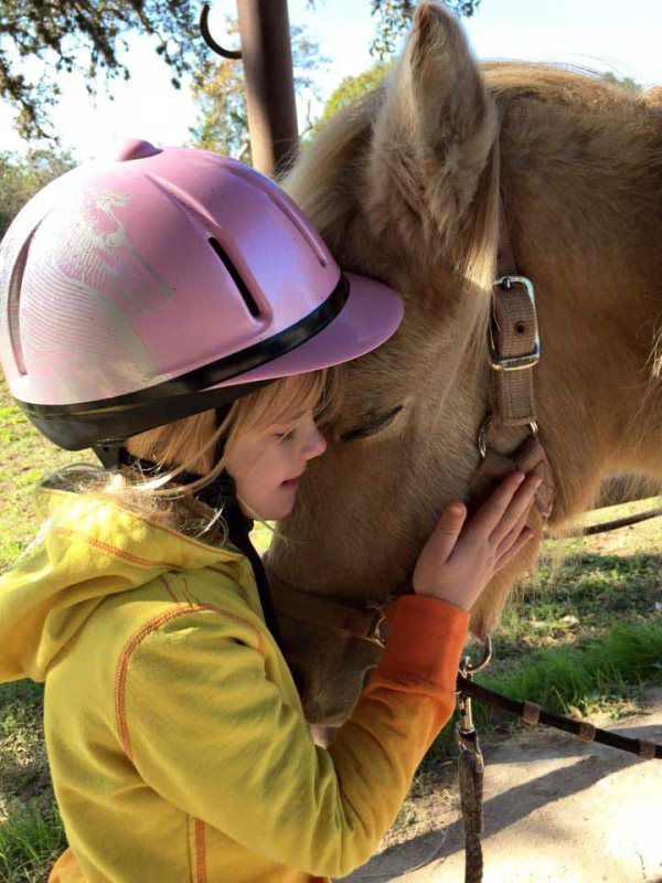 The Sugar & Spice Ranch