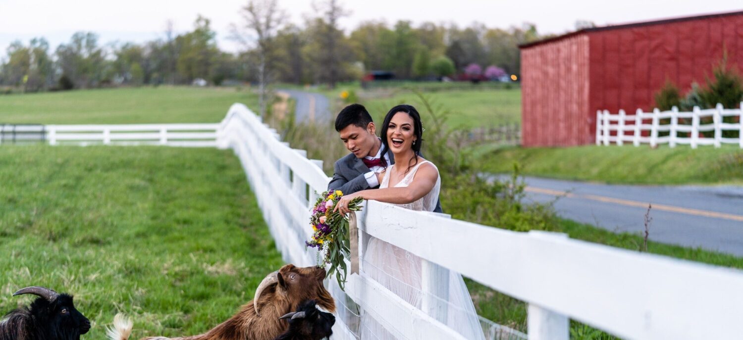 Fair Oaks Farm photo 3
