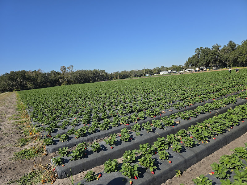 Jordan Farms photo 2