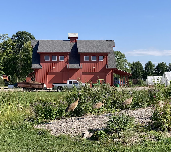 Gateway Farm photo 2