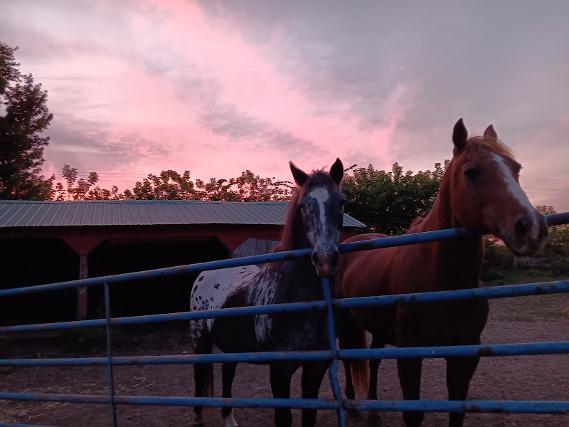 Sacred Path Ranch photo 2