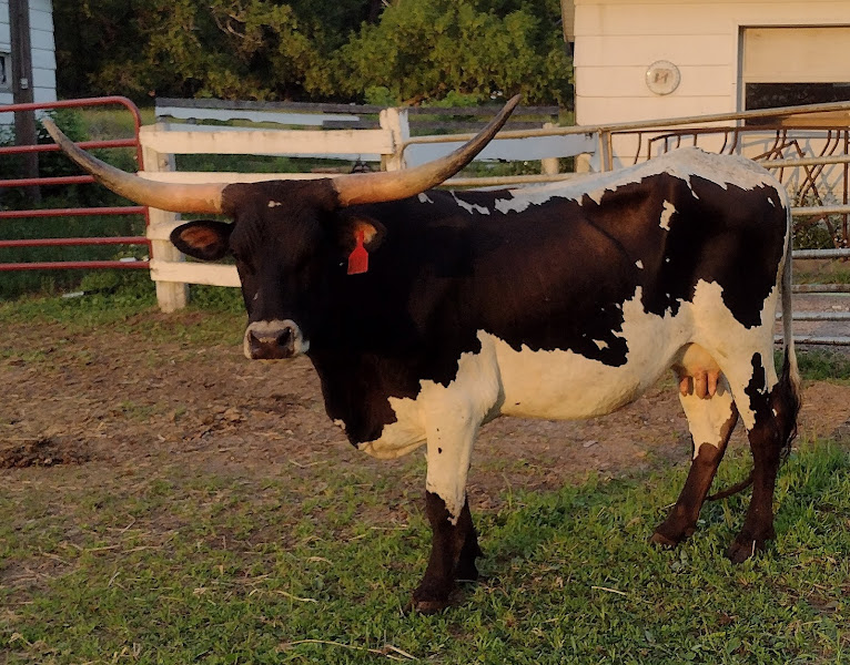 Sacred Path Ranch photo 3