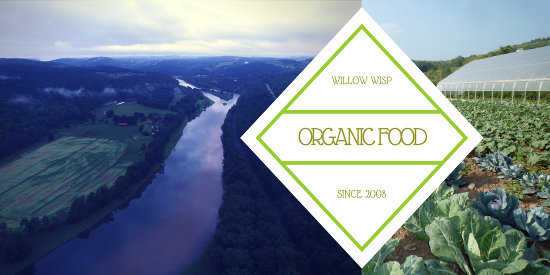 Willow Wisp Organic Farm