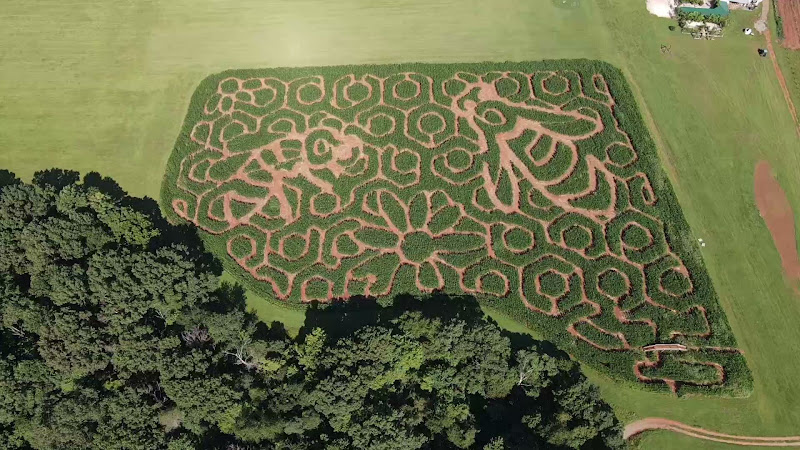 Blue Ridge Mountain Maze