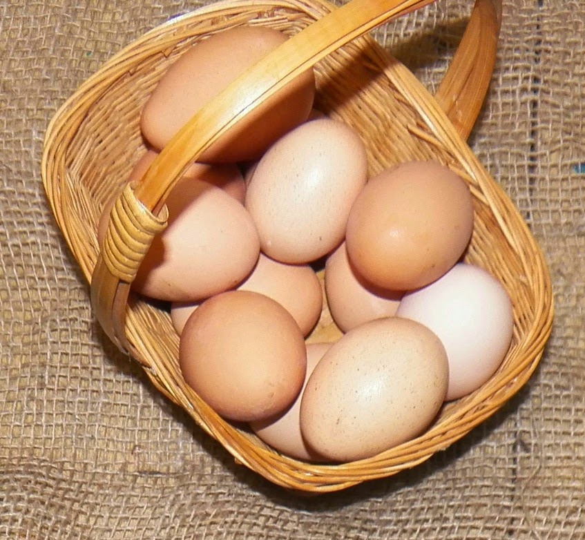 Simple Delights Farm photo 21