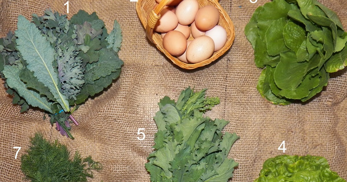 Simple Delights Farm photo 22