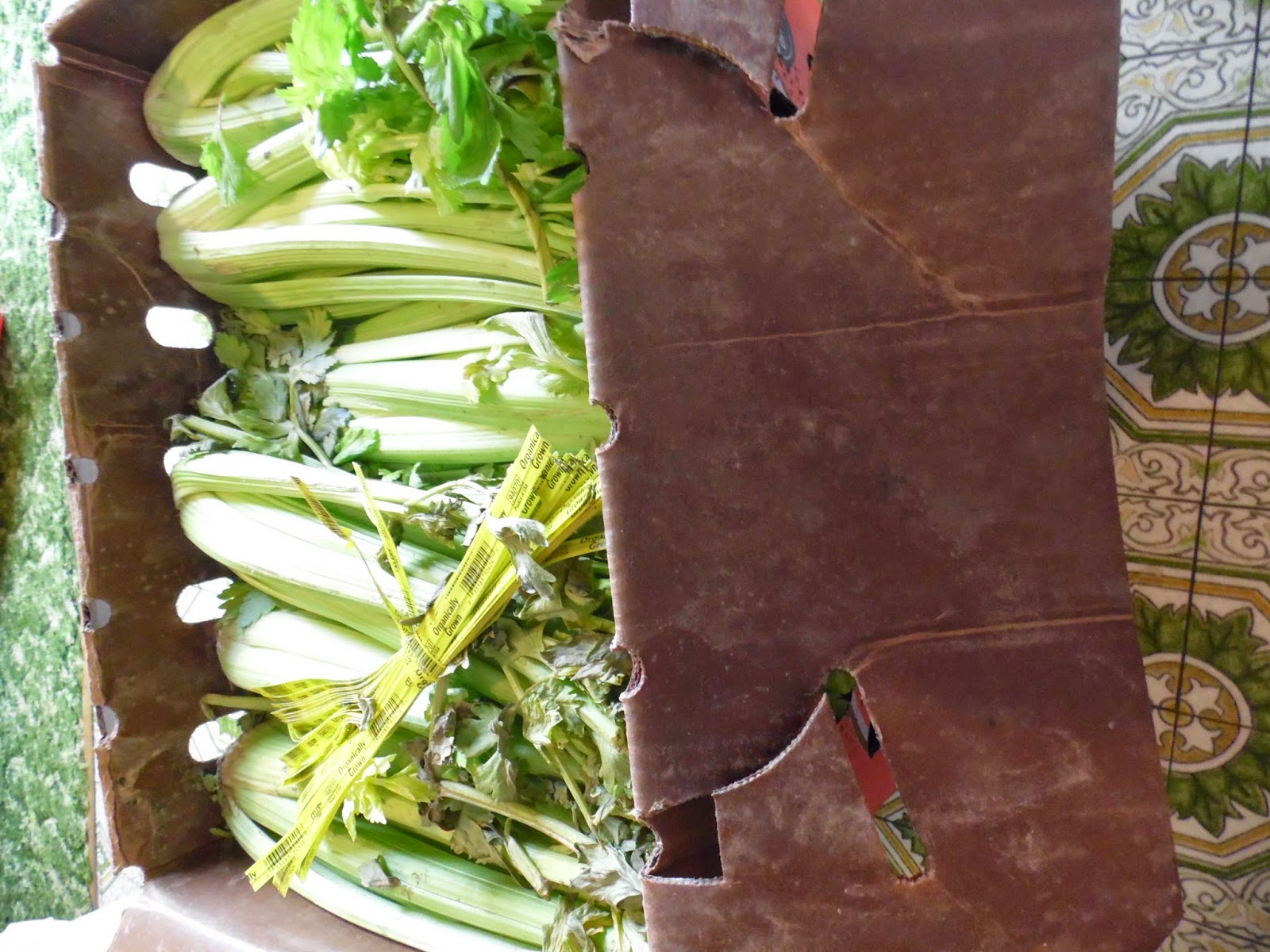 Simple Delights Farm photo 23