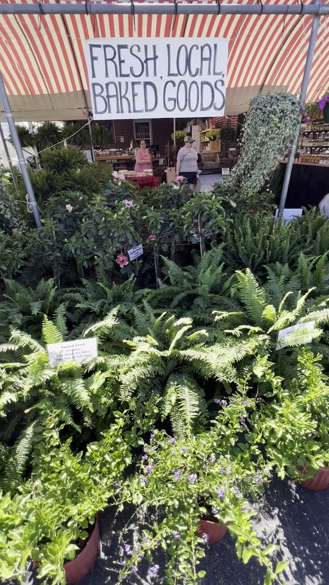 Cookeville Green Market