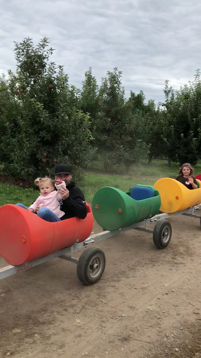 Schwallier's Country Basket photo 4