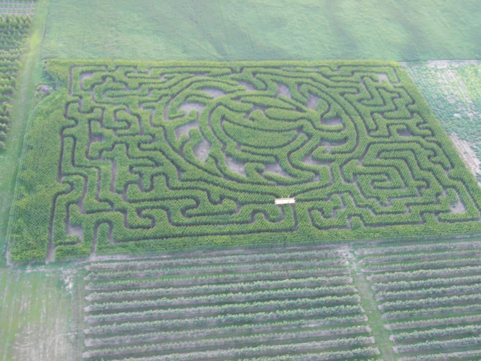 Schwallier's Country Basket photo 5