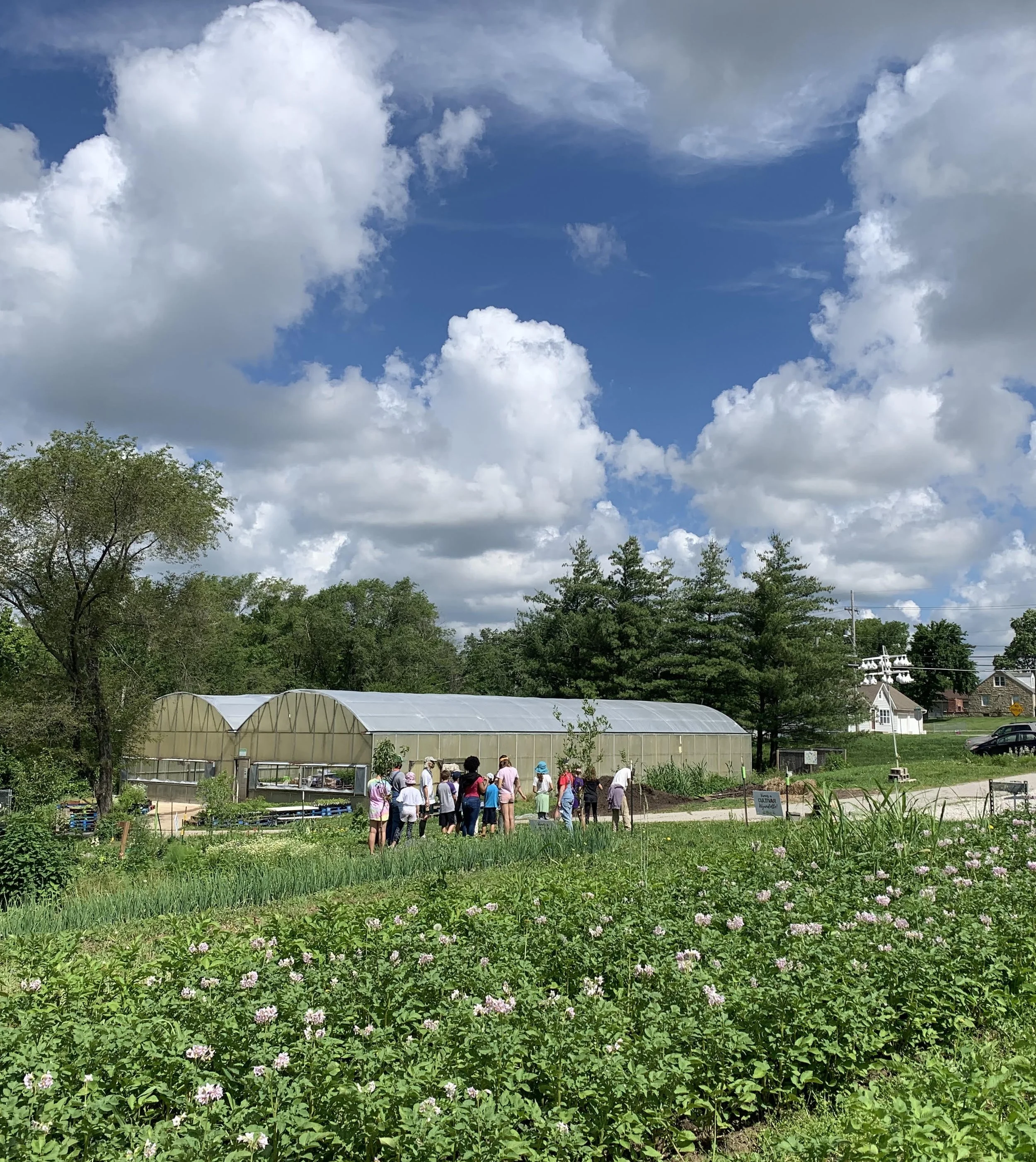 KC Farm School Farmers Market