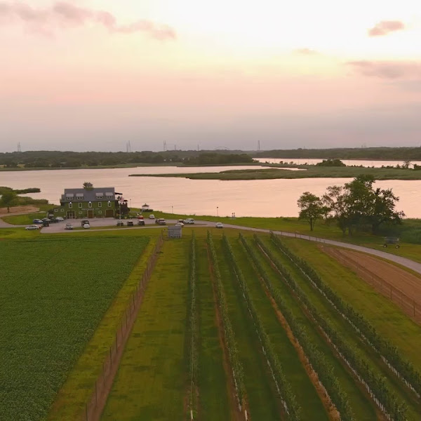 Thousand Acre Farm Wedding & Event Venue photo 3