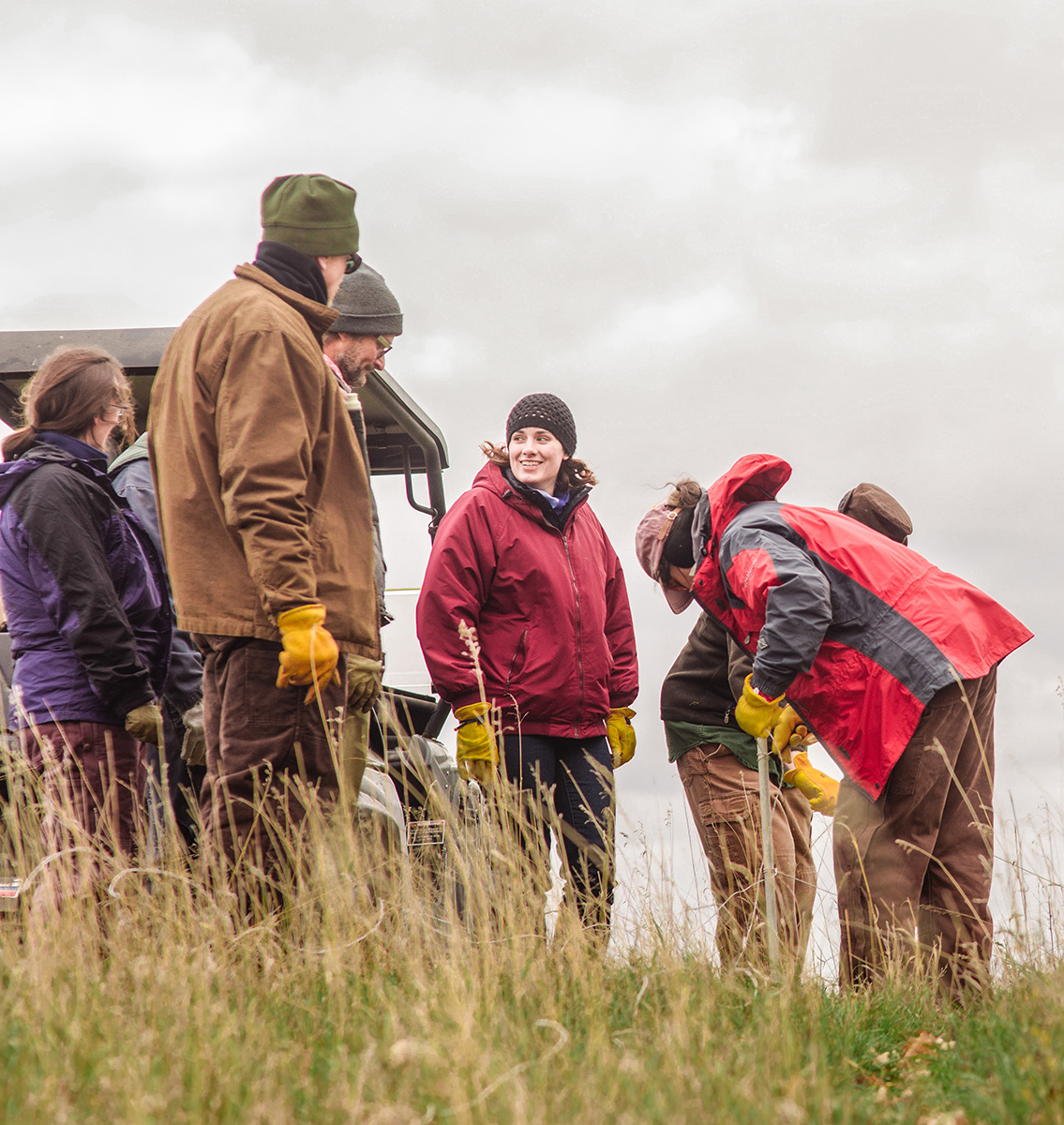 Sustainable Farming Association