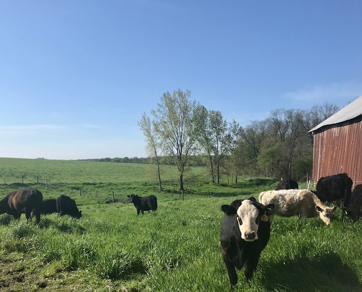 Pleasant Grove Homestead