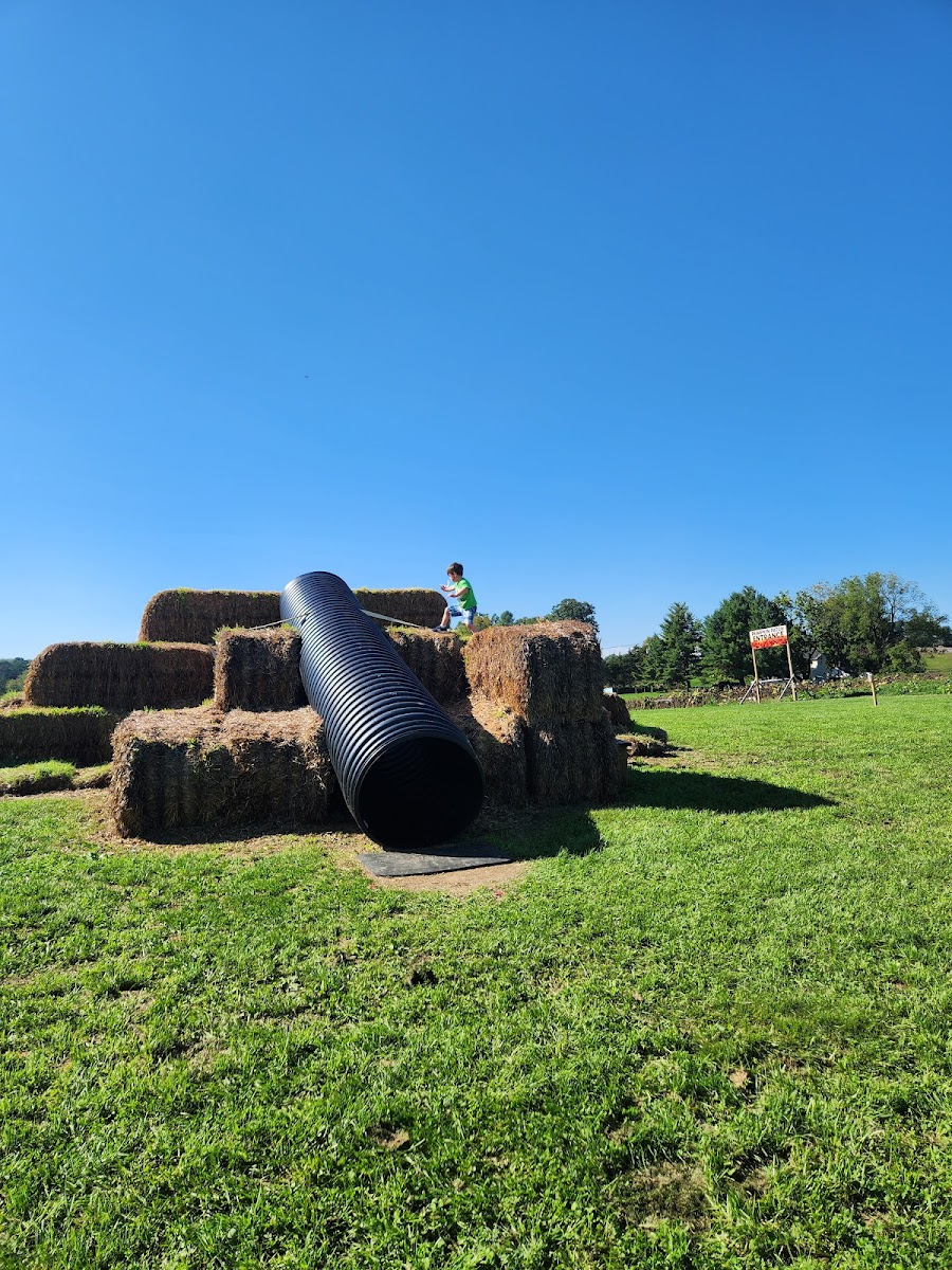 Endless View Farms photo 2