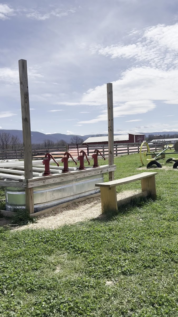 Endless View Farms photo 3