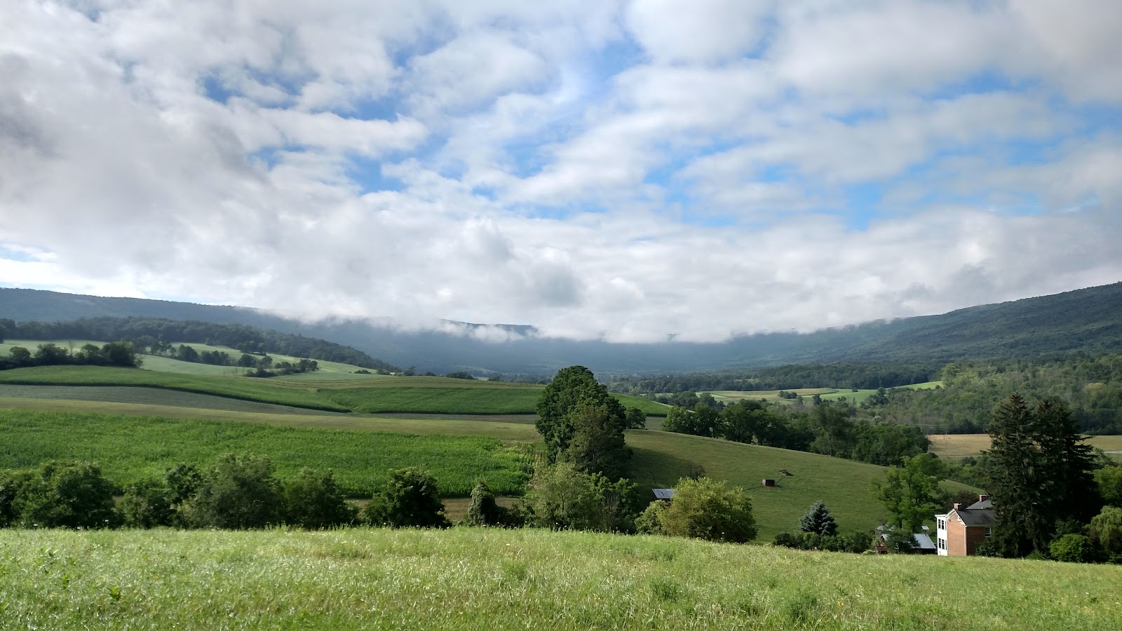 Foxtail Farmstead LLC photo 3