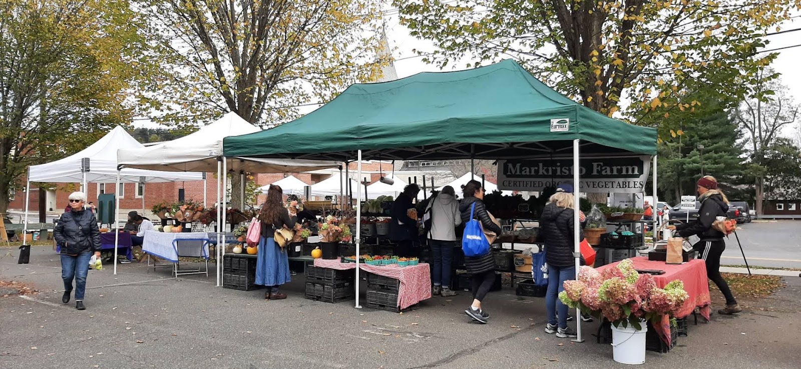 Great Barrington Farmer's Market photo 3
