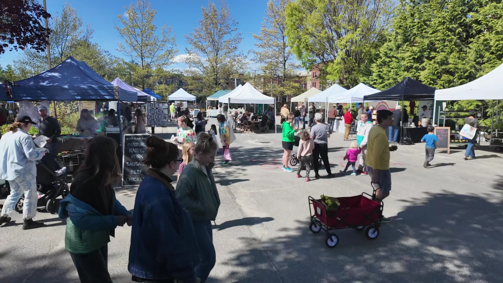 Great Barrington Farmer's Market photo 4