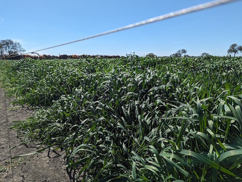 Behind the Oaks Farm photo 7