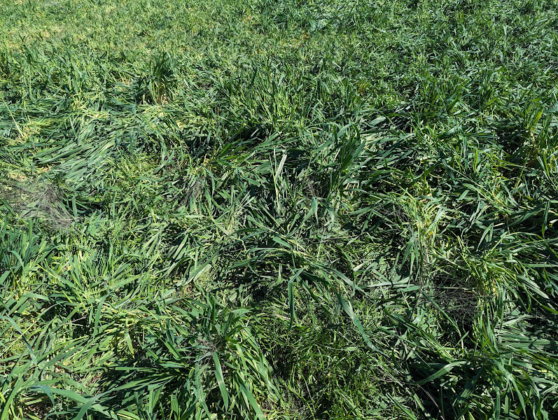 Behind the Oaks Farm photo 8