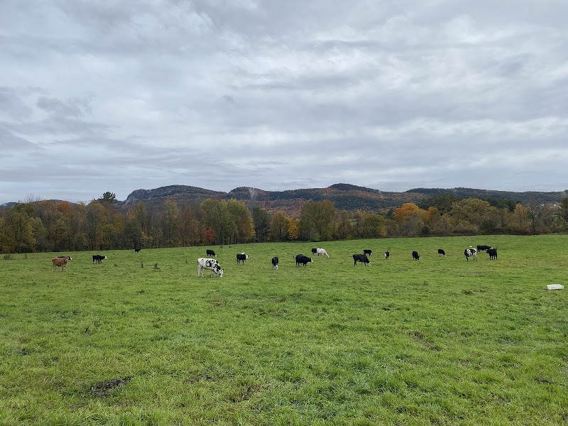 Northeast Corner Herb Farm