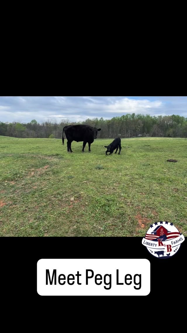 K&B Liberty Farms photo 2