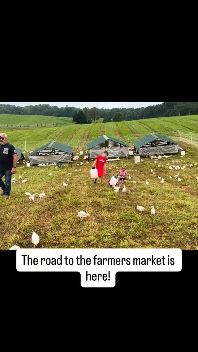 K&B Liberty Farms photo 3