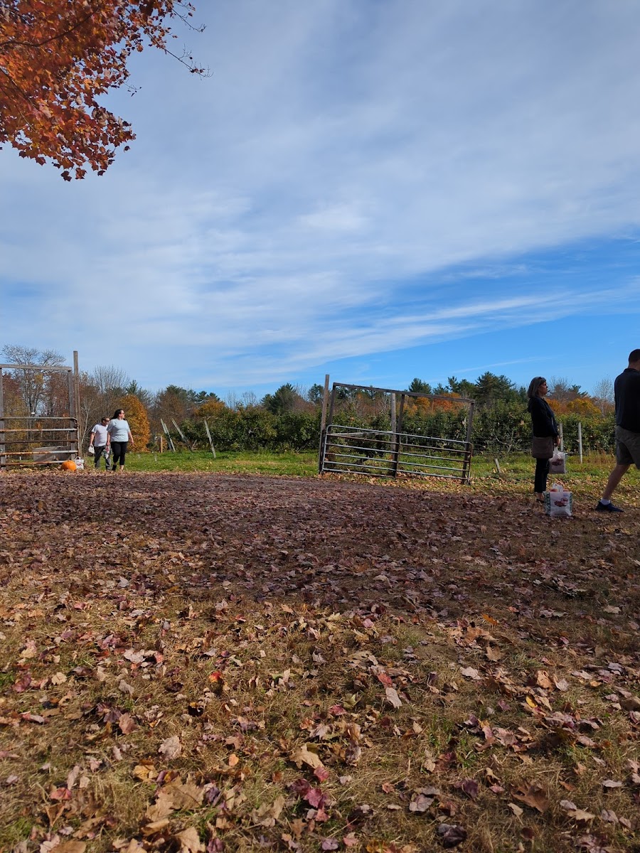 Boothby's Orchard and Farm photo 2