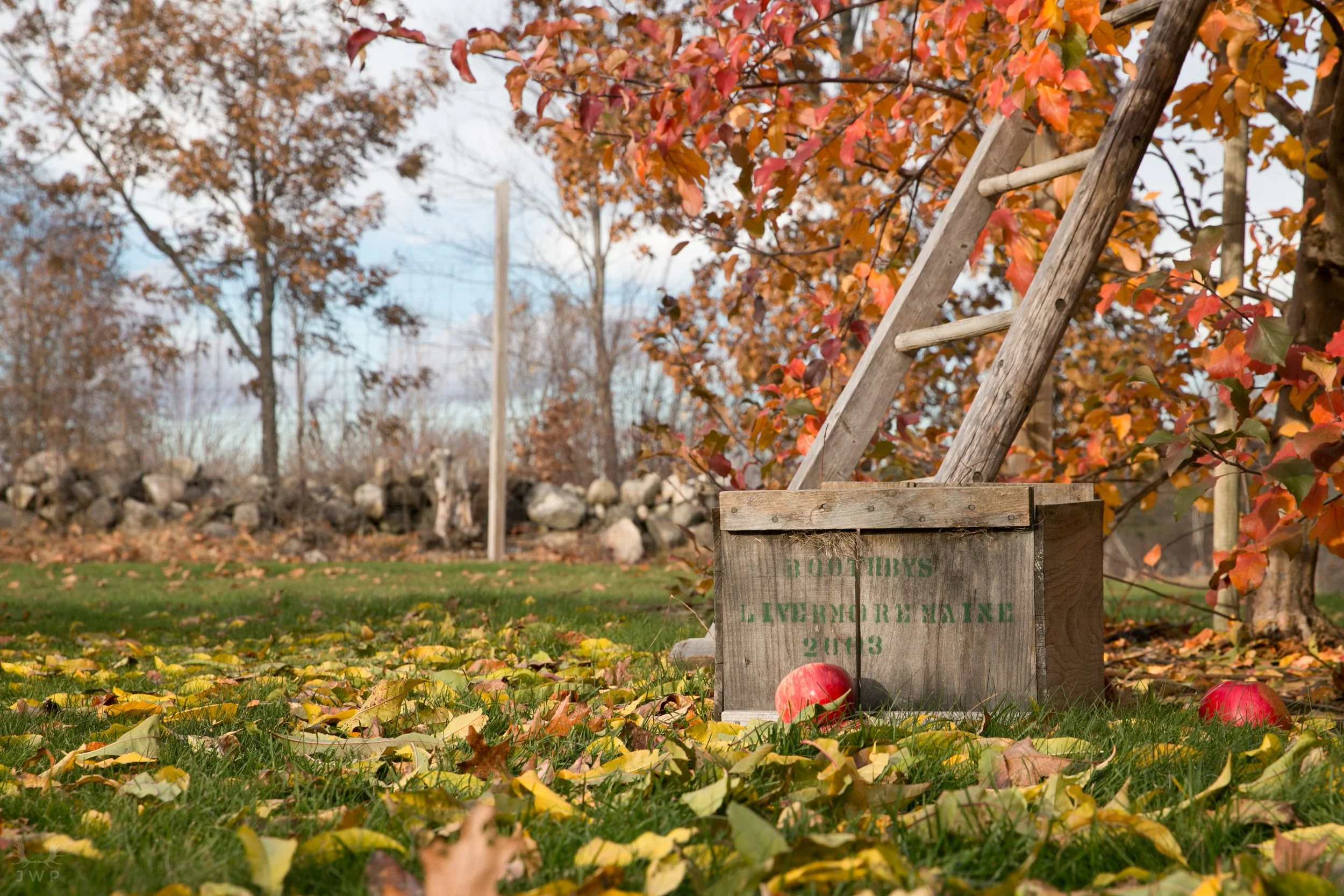 Boothby's Orchard and Farm