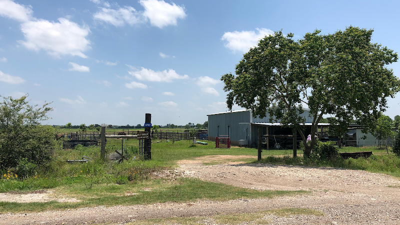 Texas All Grass Fed LLC photo 5