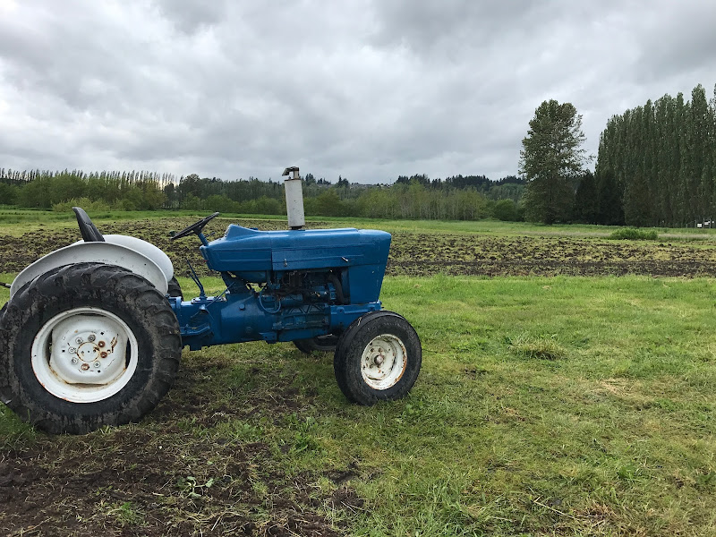 The Root Connection Farm