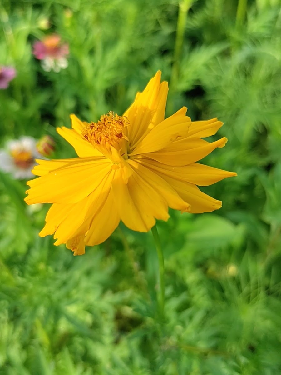 Sacred Hollow Farm photo 3