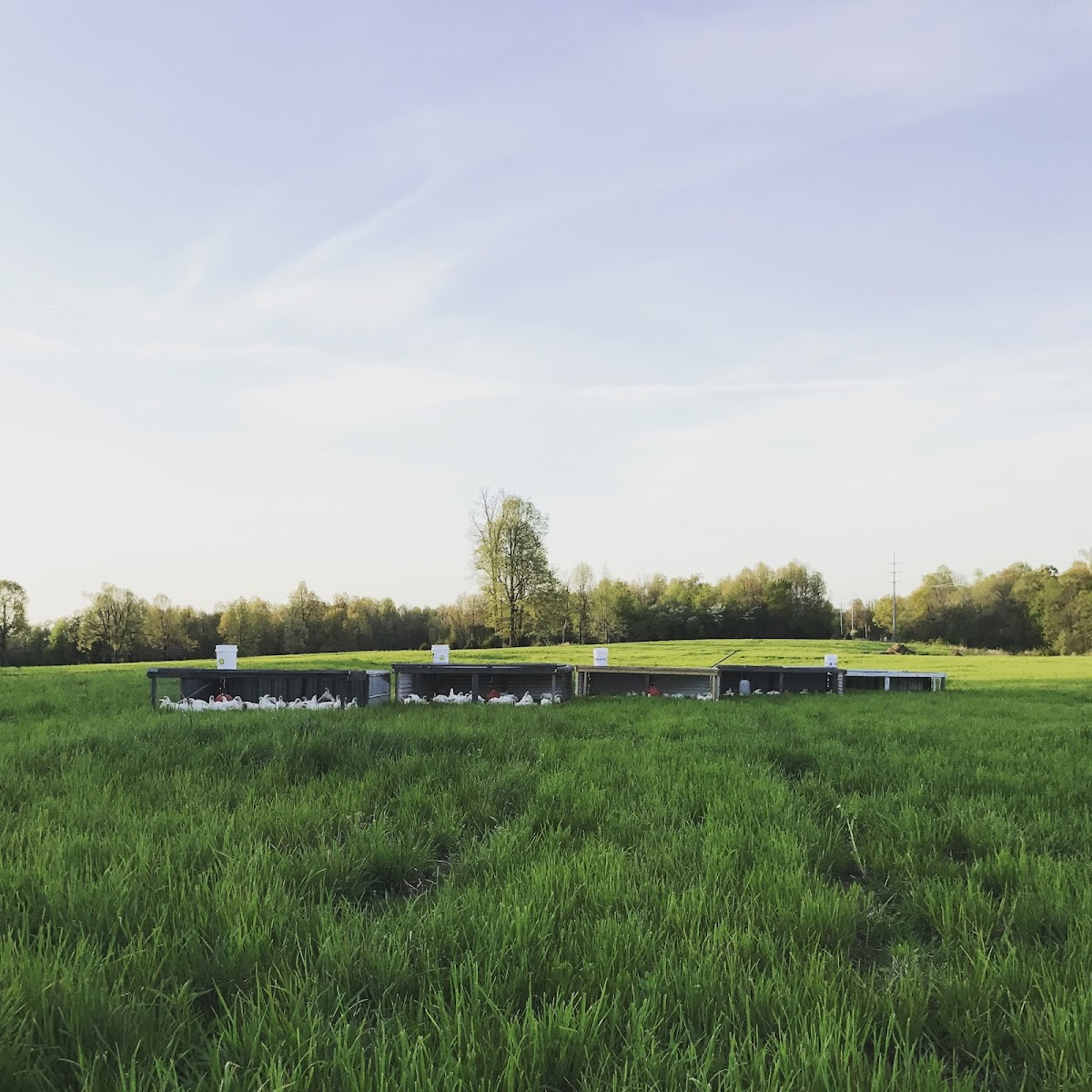 McCombs Farm photo 2