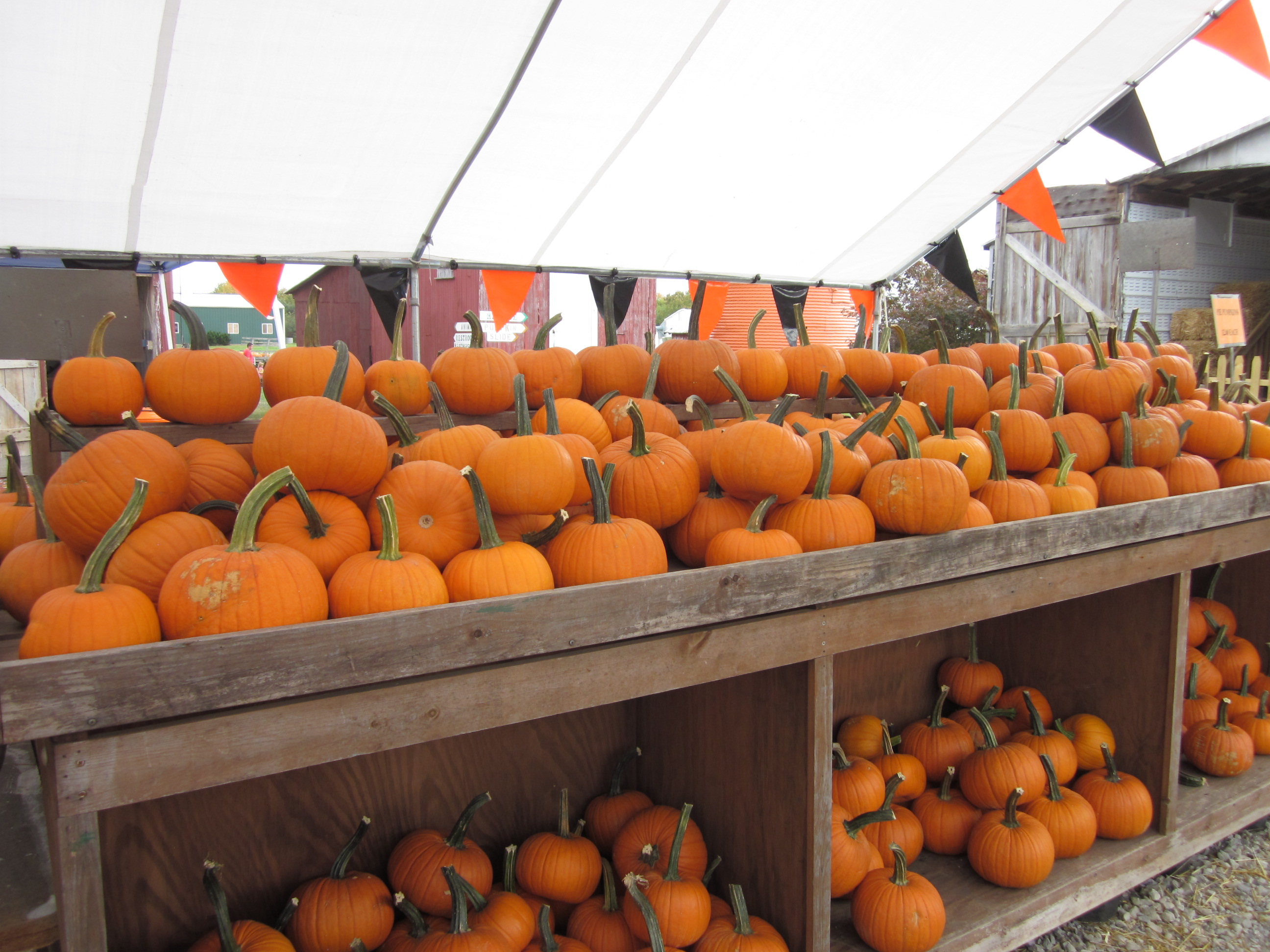 Hidden Creek Farms photo 4