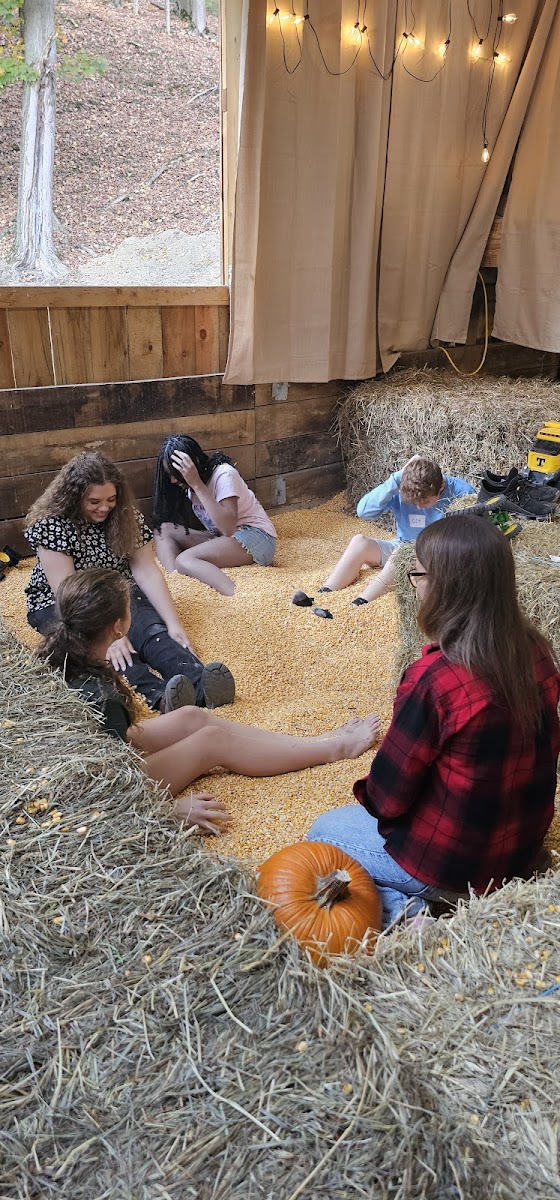 Johnson Family Farm photo 3