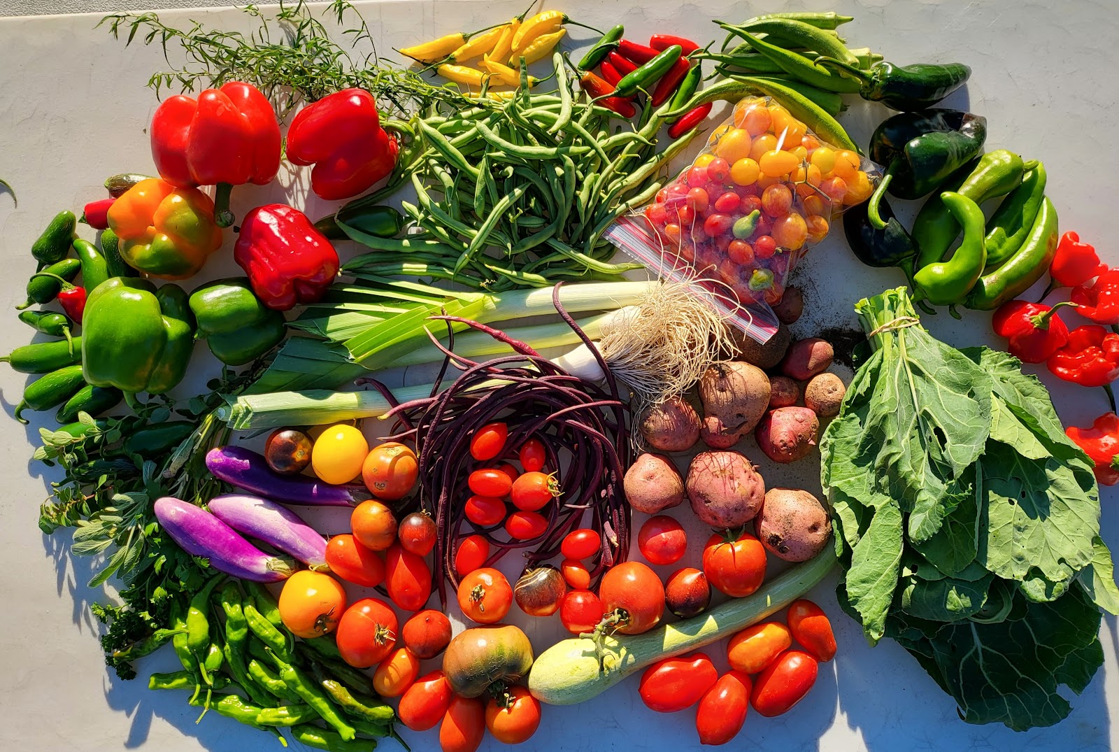 Grand Island Farmers Market II photo 2