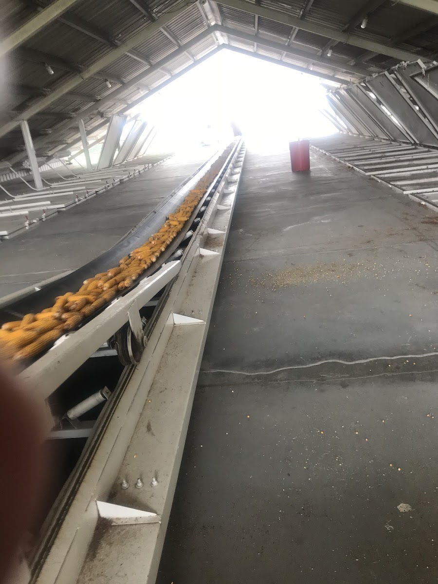 Grand Island Farmers Market II photo 4