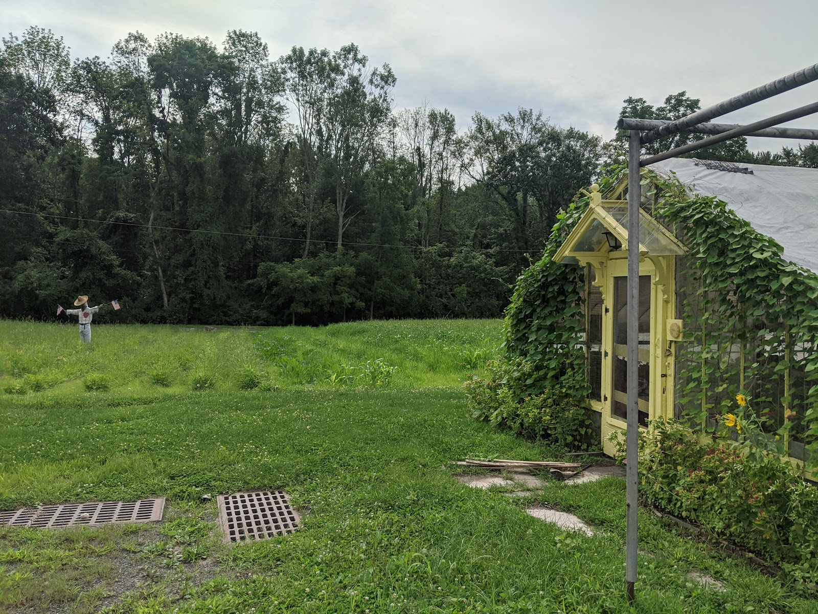 Greenwich Farmer's Market photo 2